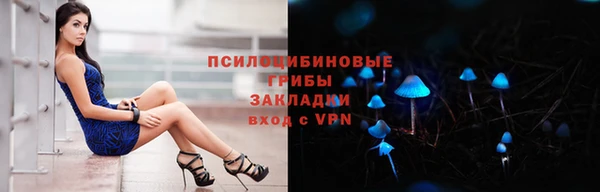 герыч Алексин
