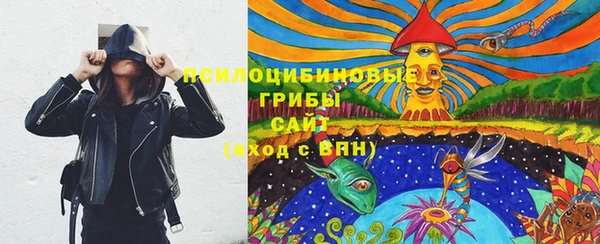 соль ск Алексеевка