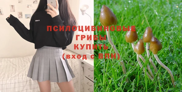 соль ск Алексеевка
