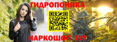 спайс Обь