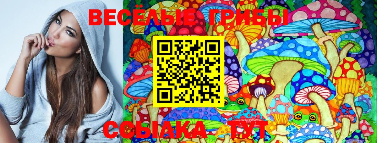Галлюциногенные грибы Psilocybe Усть-Кут