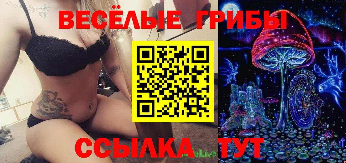Псилоцибиновые грибы GOLDEN TEACHER  Вход с VPN  Усть-Кут 